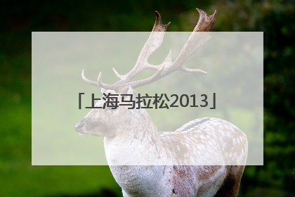 「上海马拉松2013」上海马拉松2020