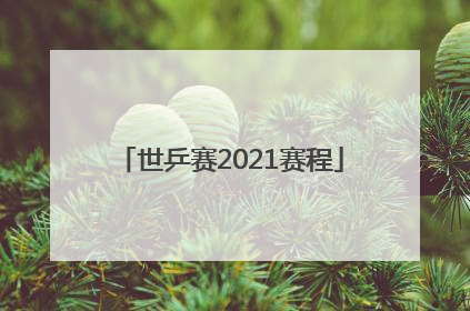 「世乒赛2021赛程」世乒赛2021赛程28日