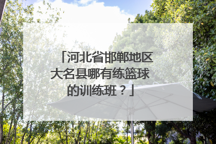 河北省邯郸地区大名县哪有练篮球的训练班？