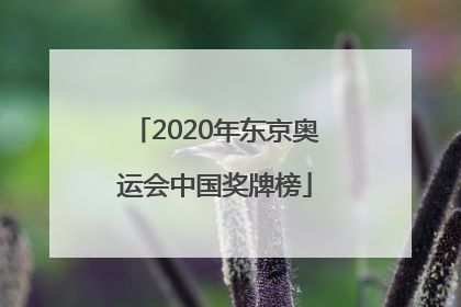 「2020年东京奥运会中国奖牌榜」2020年东京奥运会中国奖牌榜中国女子举重冠军