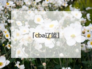 「cba辽篮」cBA辽篮对阵过上海吗
