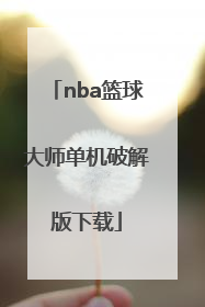 「nba篮球大师单机破解版下载」单挑篮球单机破解版下载